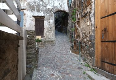 Tour Wandern Val-d'Aigoual - 4000 marches-14-06-22 - Photo