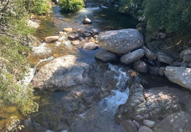 Tour Wandern Tasso - Tasso Cozzano Guitera Tasso - Photo