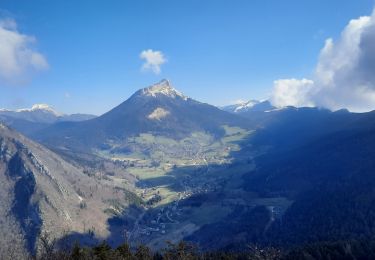 Trail Walking Meylan - St-Eynard via Rochasson - Photo