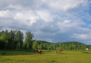 Trail Walking Fourdrain - fourdrain  - Photo