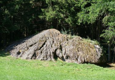 Tour Zu Fuß Durach - Naturerlebnis Durach: Waldweg - Photo