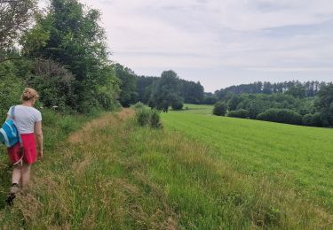 Tour Zu Fuß Bouillon - Lannoo GrWandArd 79 Bellevaux de watermolenwandeling (PVDB) - Photo