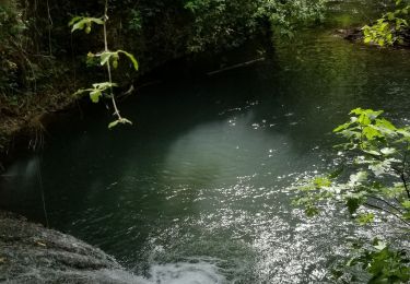 Randonnée Marche Méounes-lès-Montrieux - Le Gapeau vers Belgentier Apra - Photo