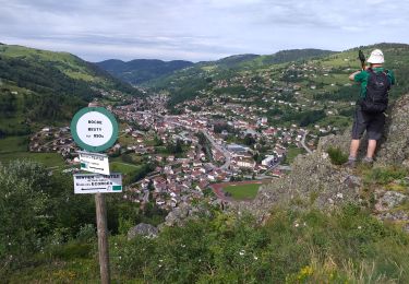 Percorso Marcia La Bresse - champis - Photo