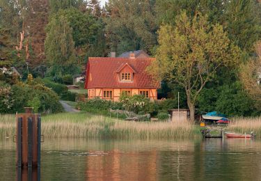 Tocht Te voet Kappeln - Rundweg Ellenberger Gehölz - Photo