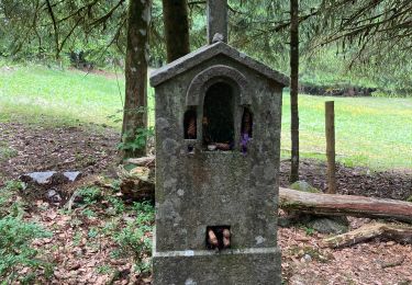 Trail Walking Gérardmer - Gerardmer - merelle - saut de la bourrique - Photo