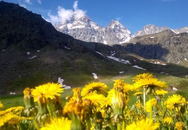 Percorso A piedi Brossasco - Celle di Macra - Pian Melzè - Photo