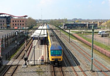 Tour Zu Fuß Steenwijkerland - WNW WaterReijk - Gasthuispport/Steenwijk P+R - paarse route - Photo