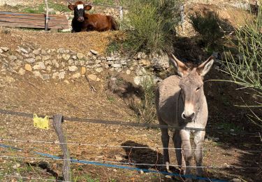 Percorso Marcia Giletta - Tourette du Château depuis Gilette - Photo