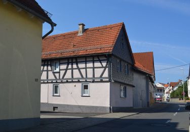 Tocht Te voet Niedernhausen - Gusbacher Strandweg - Photo