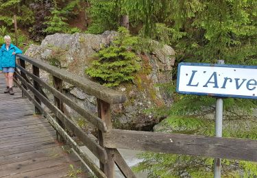 Tour Wandern Chamonix-Mont-Blanc - Les Tines Argentière par l'Arve - Photo