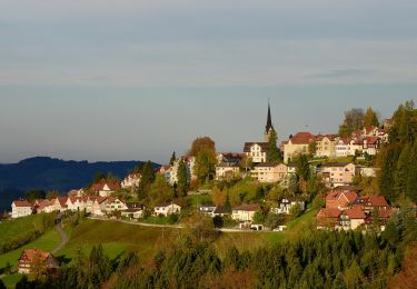 Randonnée A pied Rehetobel - Kaien-St. Anton-Weg - Photo