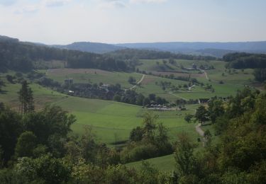 Percorso A piedi Thalheim - Zeiher Homberg - Eichwald - Photo