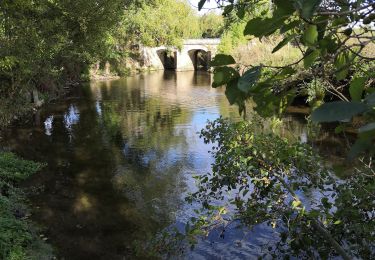 Trail Walking Bazenville - Bazenville 2 - Photo