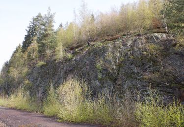 Tocht Te voet Selbitz - Kohlstein-Weg OS 42 - Photo