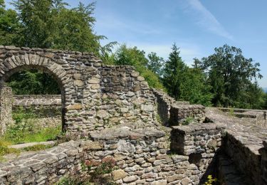 Randonnée A pied Geiersthal - DE-3 - Photo