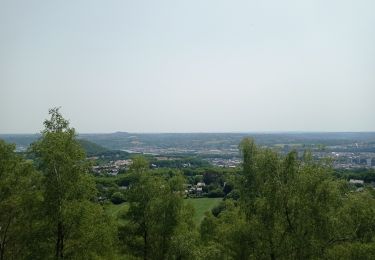 Randonnée Marche Liège - Terril de Vittel - Fond des Tawes - Photo