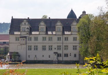 Tocht Te voet Aerzen - AE8 Rundwanderung auf dem nördlichen Lüninbergsberg oberhalb Schloss Schwöbber - Photo