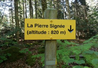 Trail Walking Saint-Ours - les Roches pierre signée  - Photo