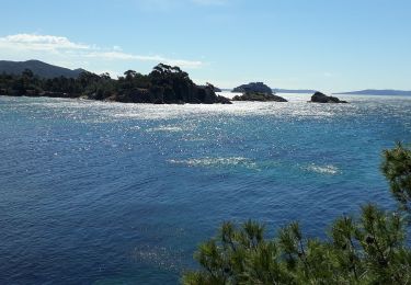 Tour Wandern La Londe-les-Maures - sentier du littoral Lalonde les Maures /Borne les mimosas - Photo