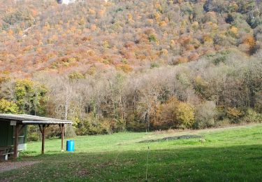 Trail Walking Sonnaz - SONNAZ-MONTAGNY-18-11-24 - Photo