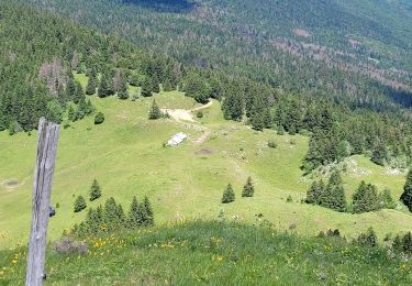 Tour Wandern Chézery-Forens - menthiere cret de la goutte pierre à fromag cret de l'eguillon - Photo
