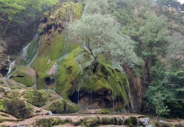 Percorso Marcia Sainte-Eulalie-en-Royans - Balade Saint-Eulalie (Vercors) Cascades Blanche et Verte - Photo