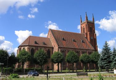 Excursión A pie  - Dobiegniew-Wologoszcz-? - Photo