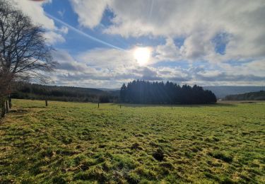 Tour Wandern Dreibrücken - rando wanne 28-01-2022 - Photo