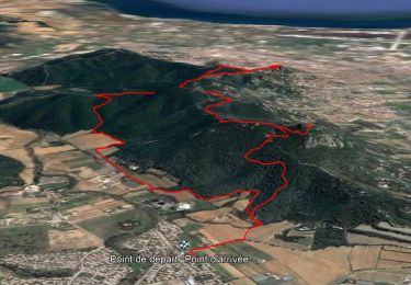 Tour Wandern La Crau - Fenouillet - Chateau de Hyères - retour par les vignes - Photo