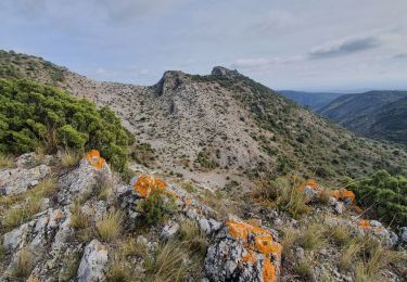 Trail Walking Trassanel - Boucle depuis Trassanel - Grottes - Menhir - Photo