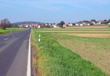 Trail On foot Marburg - [A3] - Wanderweg des Verkehrs- und Verschönerungsvereins Marburg - Marburg-Waldtal - Bauerbach - Photo