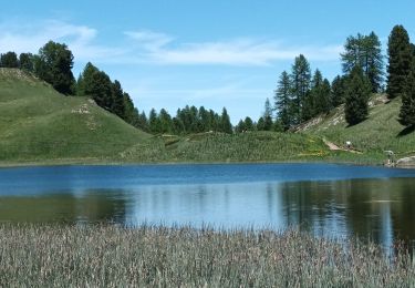 Percorso Marcia Ceillac - queraz Lac miroir - Photo