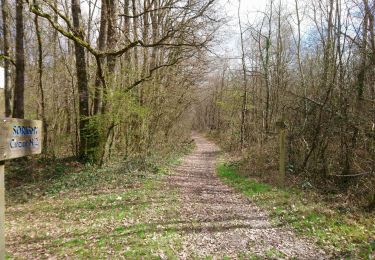 Tour Wandern Sorigny - Sorigny - 10.6km 45m 2h10 - 2018 03 18 - Photo