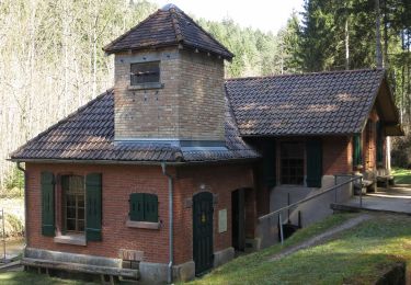 Excursión A pie Pfalzgrafenweiler - Vier-Burgen-Weg - Photo