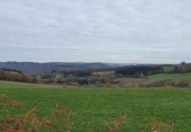 Tocht Stappen Wellin - rando ornitho daverdisse 9/11/2020 - Photo