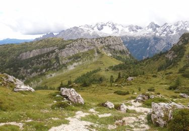 Trail On foot Auronzo di Cadore - 112, Sentiero Durissini - Photo