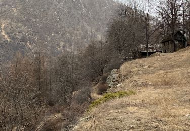 Randonnée Marche Saint-Étienne-de-Tinée - Claï Inférieur  - Photo