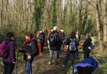 Tour Wandern Le Val-Saint-Germain - Le Marais St Maurice - Photo