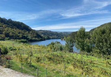 Tour Wandern Sobrado e Bairros - Castelo de Paiva - Douro (GR60) - Photo