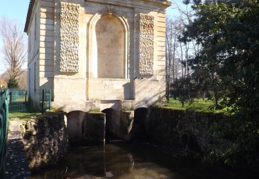 Trail Walking Mérignac - LUCHEY HALDE LE PEUGUE LE BURCK - Photo