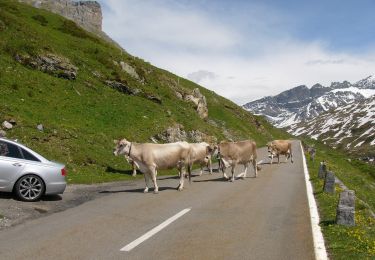 Tour Zu Fuß Unterschächen - Naturkundlicher Höhenweg Schächental - Photo