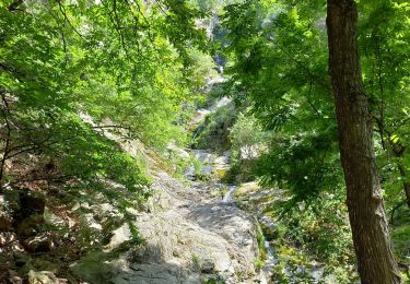 Randonnée Marche Vernet-les-Bains - Col de Llavent et Abbaye St Martin du Canigou - Photo