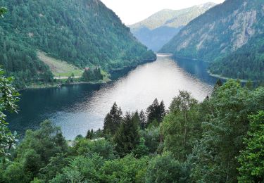 Tour Zu Fuß Valdaone - IT-O246 - Photo