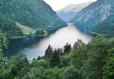 Tocht Te voet Sella Giudicarie - Sentiero di Danerba - Photo