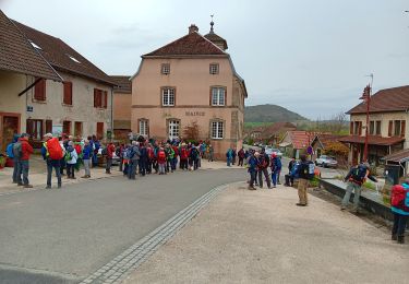 Excursión Senderismo Belfort - Marche JO Belfort Couthenans - Photo