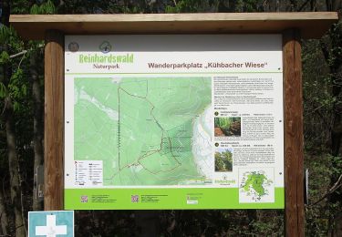 Tocht Te voet Gutsbezirk Reinhardswald - Udenhäuser Stock, Rundweg 1 - Photo