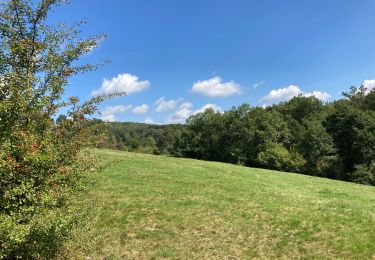 Trail Walking Waimes - Ondenval  - Photo