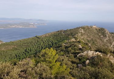 Randonnée Marche La Seyne-sur-Mer - fabregas parking du bœuf, plage des nudistes, sémaphore, notre dame de mai.  - Photo