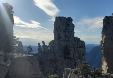 Randonnée Marche Castellane - la colle cadieres de brandis 20kms 1086m - Photo